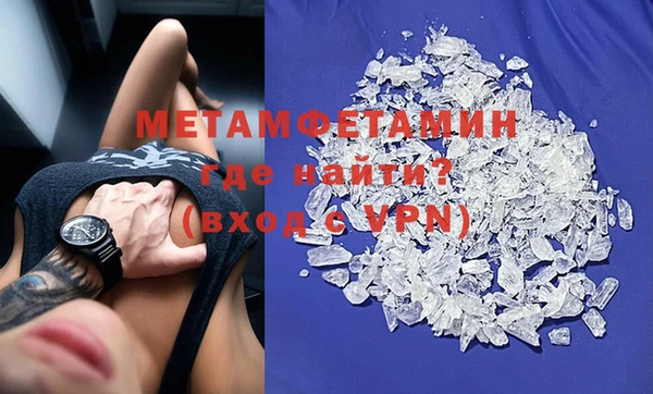 прущие грибы Наволоки