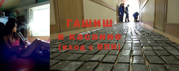 прущие грибы Наволоки