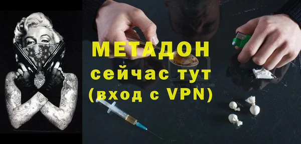прущие грибы Наволоки