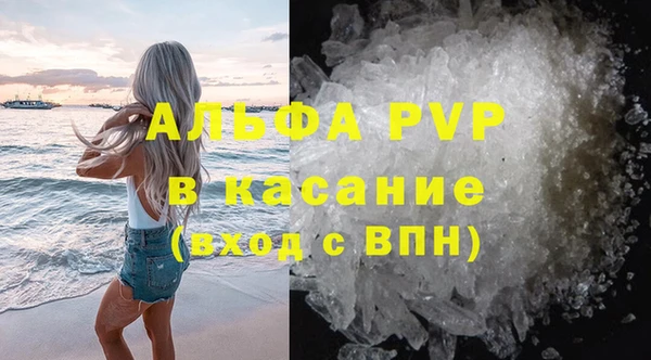 прущие грибы Наволоки