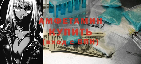 прущие грибы Наволоки
