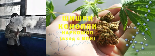 прущие грибы Наволоки