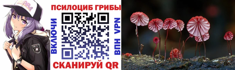 Псилоцибиновые грибы GOLDEN TEACHER Новоуральск