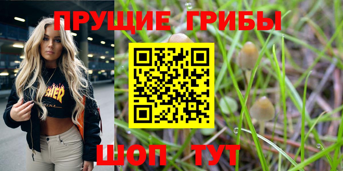 Псилоцибиновые грибы ЛСД Новоуральск