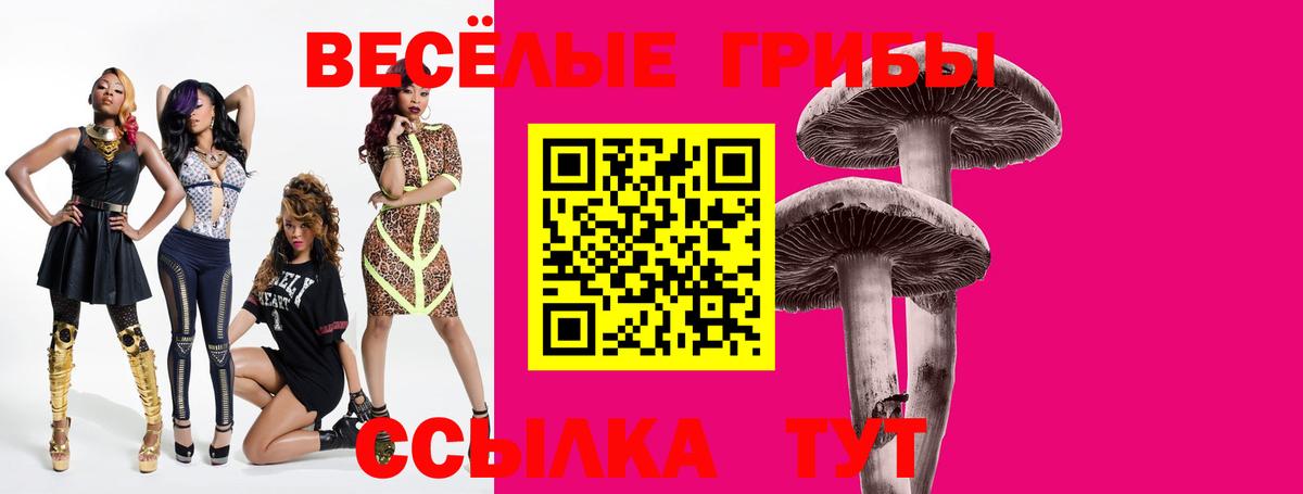 Псилоцибиновые грибы прущие грибы  что такое наркотик  Новоуральск 